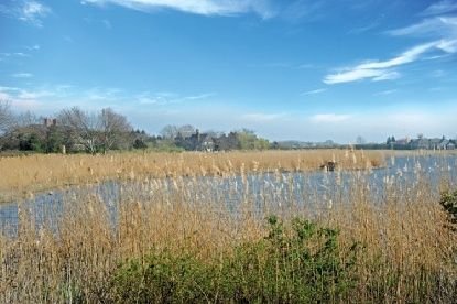 443 Sagaponack Road Sagaponack, NY 11962 - Photo 6 of 36