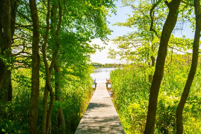 $200,000 | 443 Sagaponack Road, Sagaponack, NY 11962