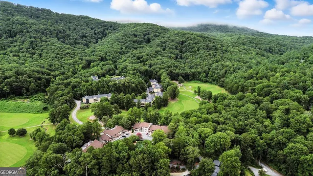 a view of a lush green forest with trees in the background