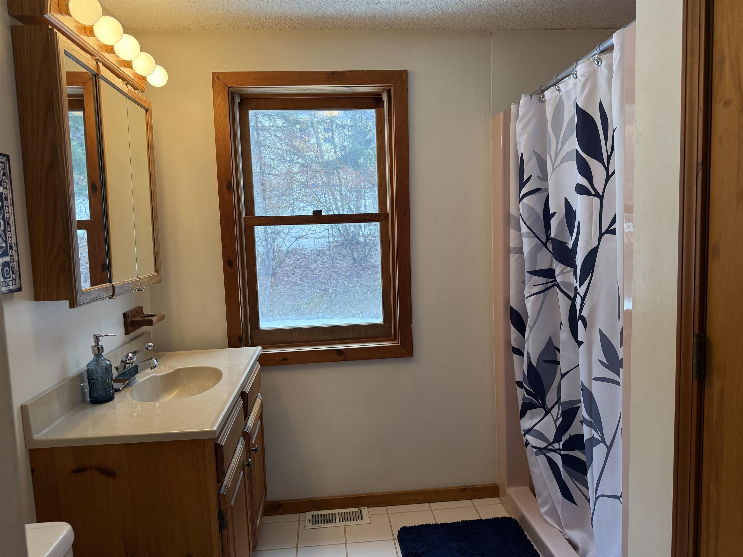 33 Kolbe Lane Enfield, NH 03748 - Photo 24 of 54
