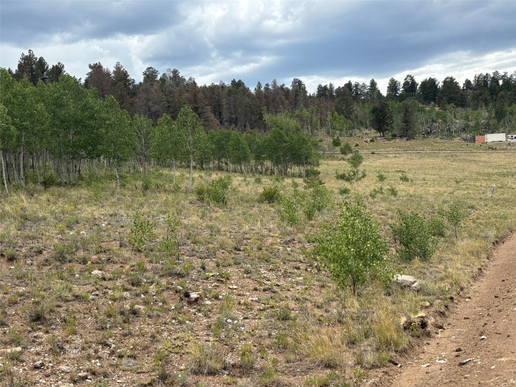 1625 Athapascan Road Hartsel, CO 80449 - Photo 1 of 21 Gallery Image 1