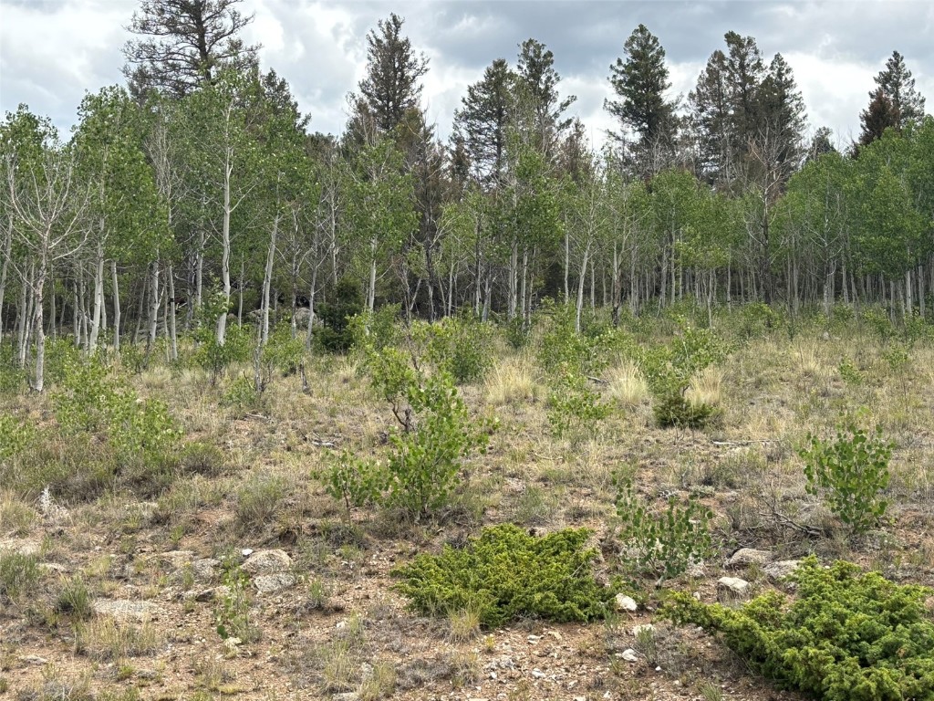 1625 Athapascan Road Hartsel, CO 80449 - Photo 11 of 21 Gallery Image 11