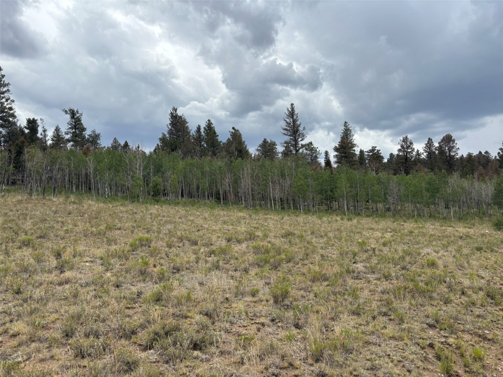 1625 Athapascan Road Hartsel, CO 80449 - Photo 15 of 21 Gallery Image 15