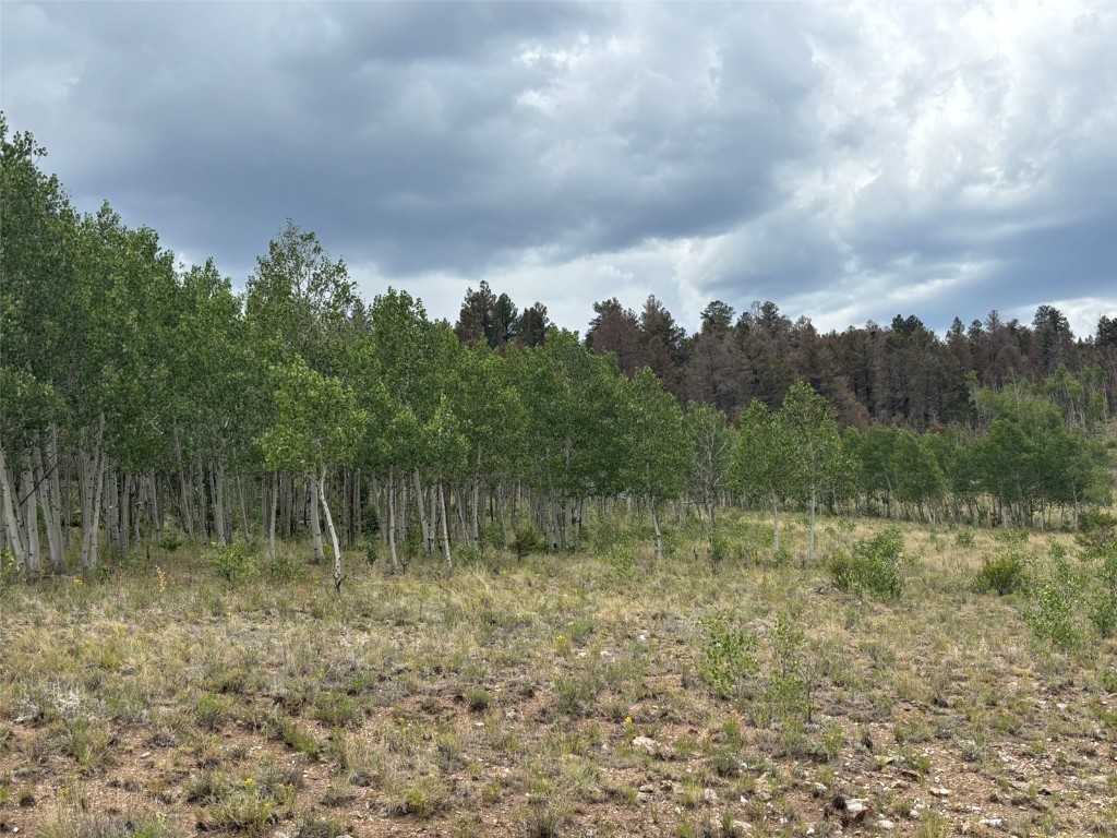 1625 Athapascan Road Hartsel, CO 80449 - Photo 3 of 21 Gallery Image 3