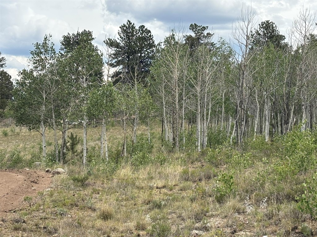 1625 Athapascan Road Hartsel, CO 80449 - Photo 5 of 21 Gallery Image 5