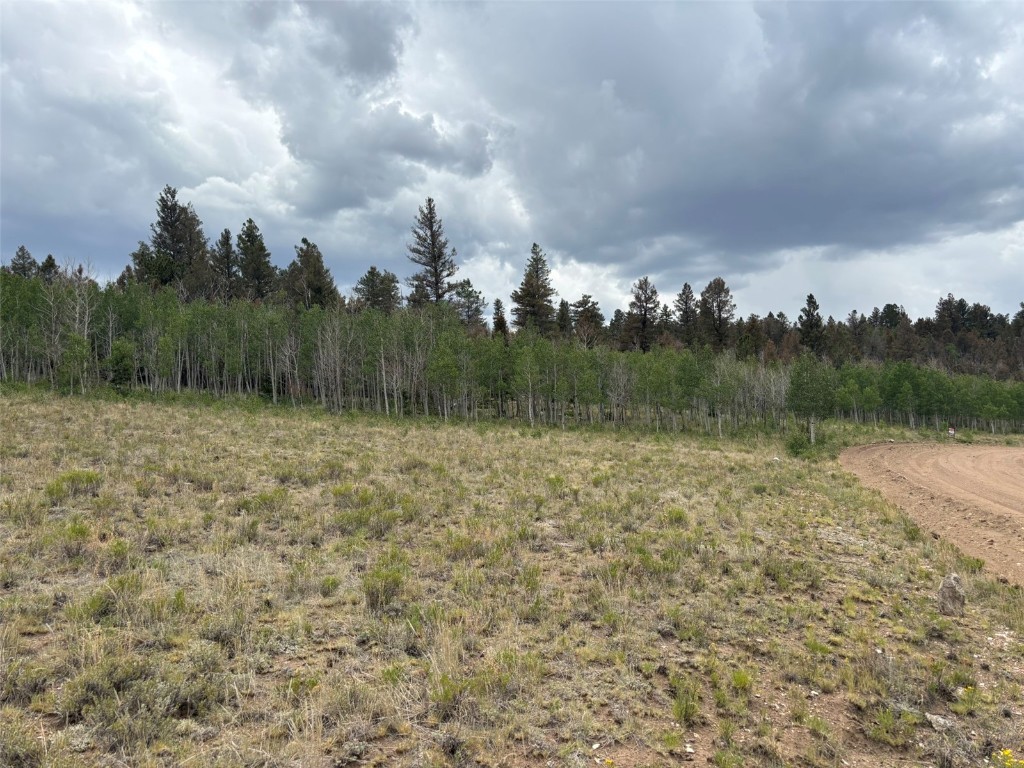 1625 Athapascan Road Hartsel, CO 80449 - Photo 7 of 21 Gallery Image 7