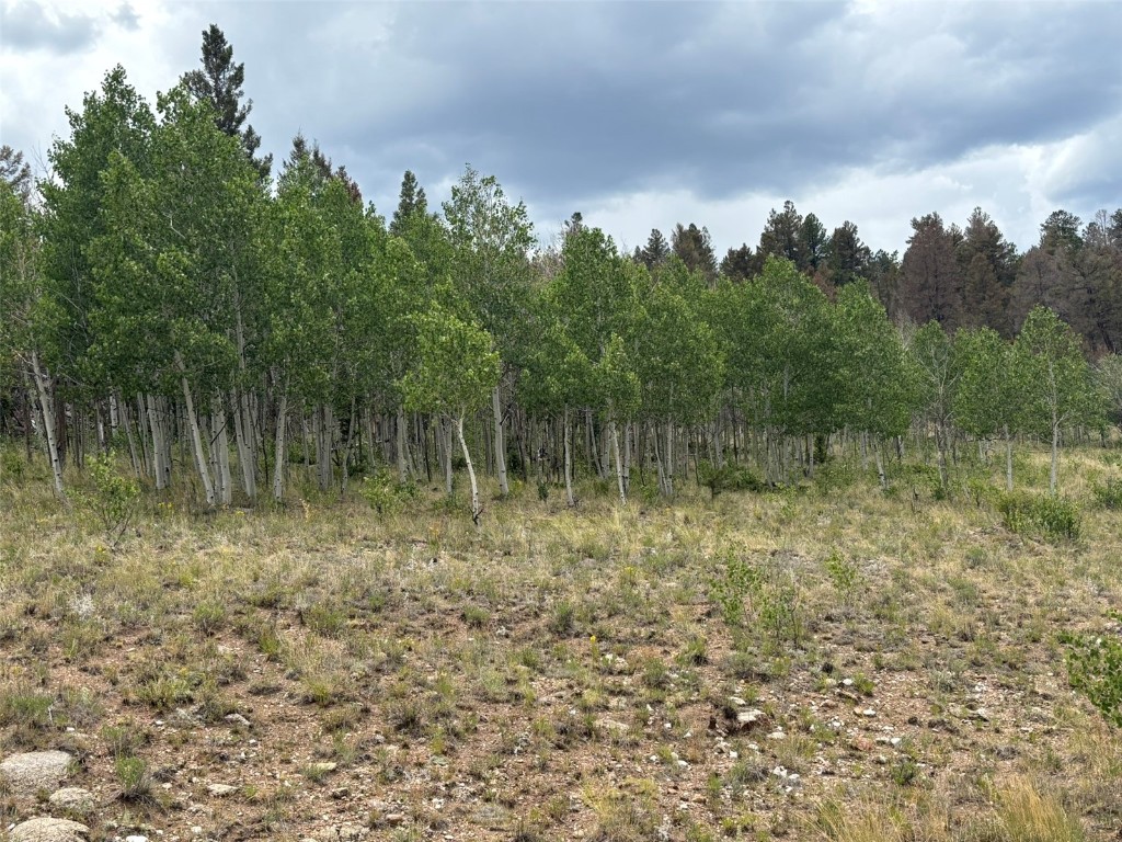 1625 Athapascan Road Hartsel, CO 80449 - Photo 8 of 21 Gallery Image 8