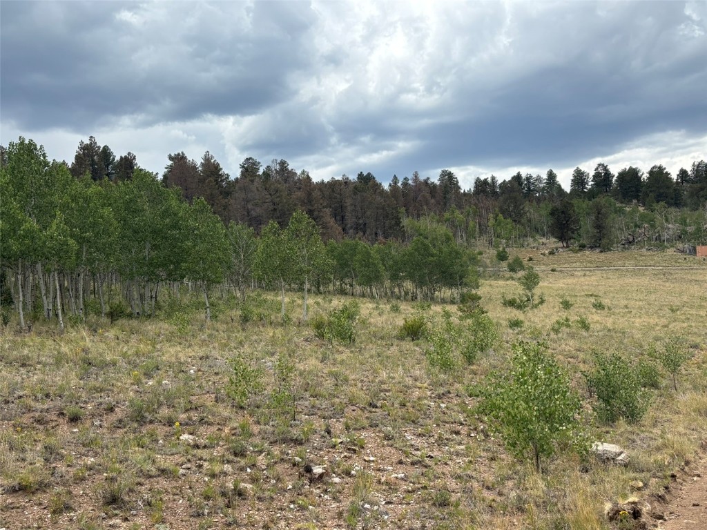 1625 Athapascan Road Hartsel, CO 80449 - Photo 9 of 21 Gallery Image 9