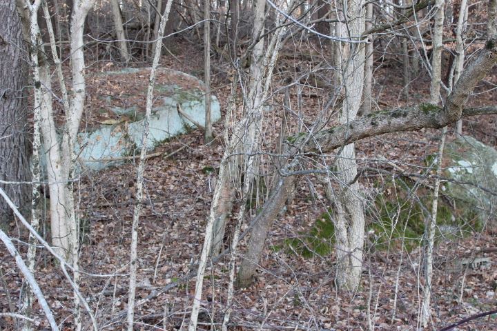 7179 Lily Road Tell City, IN 47586 - Photo 12 of 14
