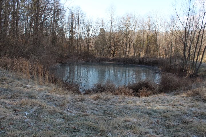 7179 Lily Road Tell City, IN 47586 - Photo 14 of 14