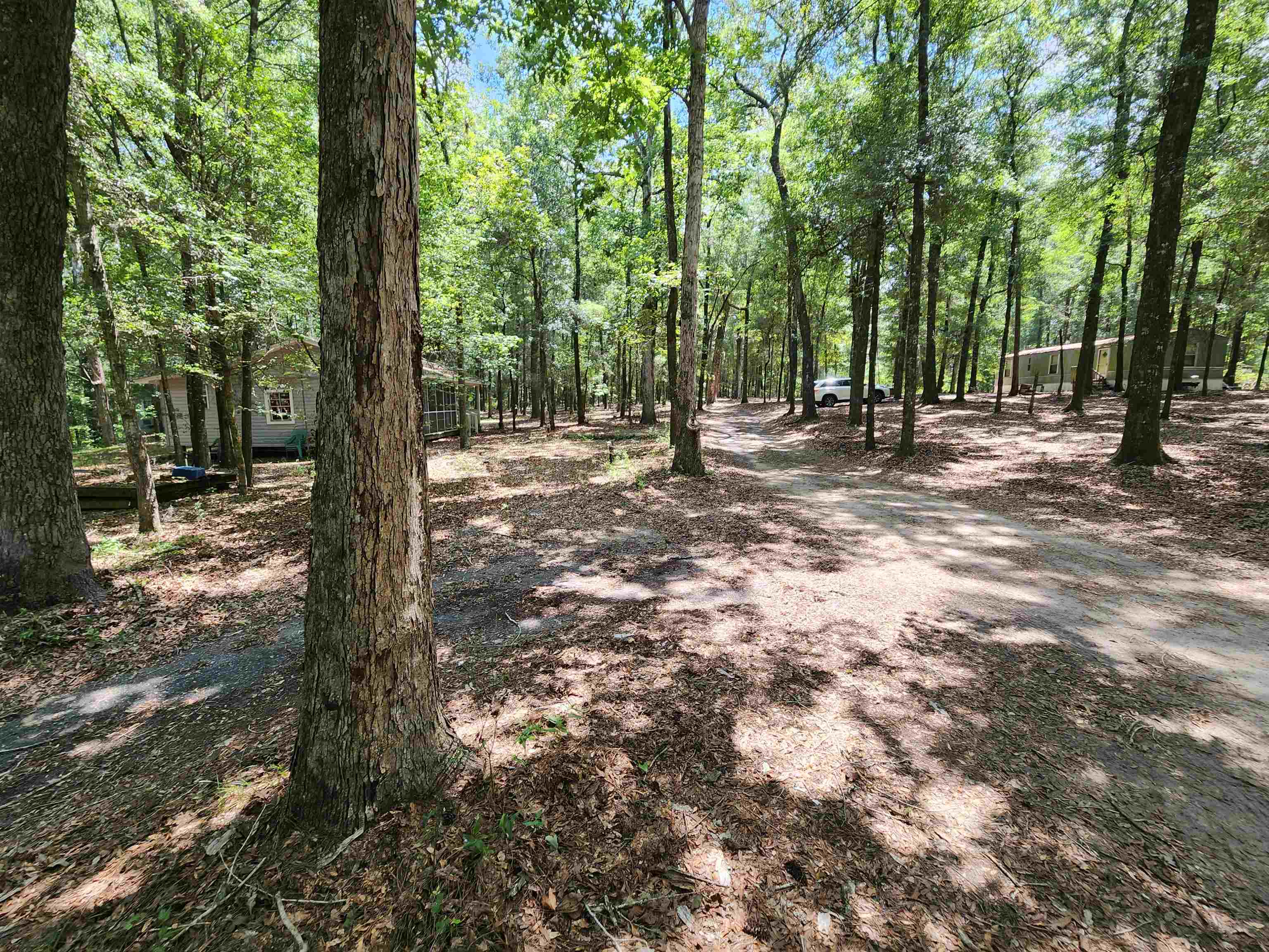 380 Bauer Trail Hemingway, SC 29554 - Photo 17 of 17 Gallery Image 17