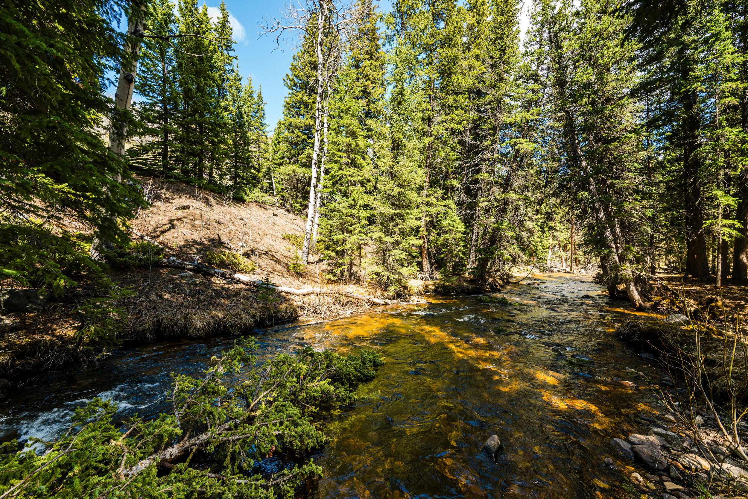 93 Middle Fork Clear Creek Road Buffalo, WY 82834 - Photo 27 of 38 93 middle fork 27