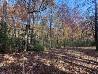 Lot 9 Peter Knob Road Blue Ridge, GA 30513 - Photo 3 of 10