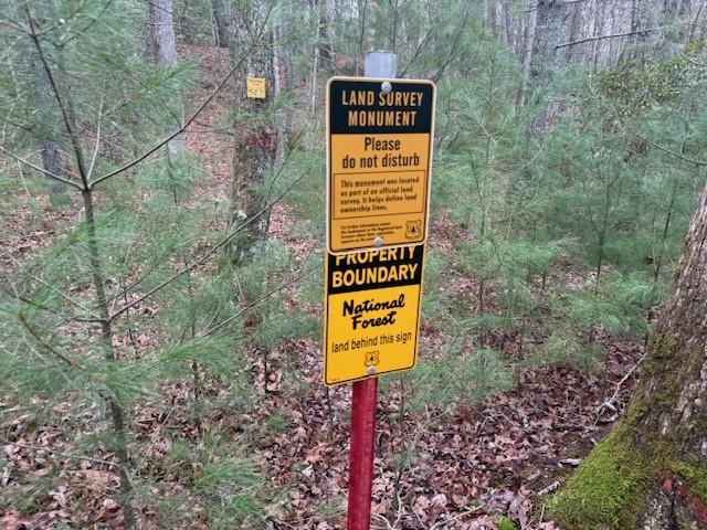 Lot 9 Peter Knob Road Blue Ridge, GA 30513 - Photo 4 of 10