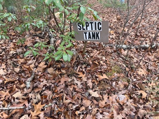 Lot 9 Peter Knob Road Blue Ridge, GA 30513 - Photo 7 of 10