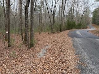 Lot 9 Peter Knob Road Blue Ridge, GA 30513 - Photo 9 of 10