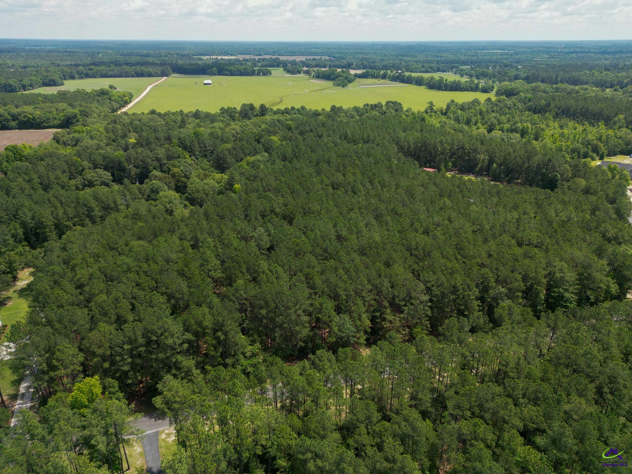 Lot 9 Cherokee Trail Road Eastman, GA 31023 - Photo 16 of 18