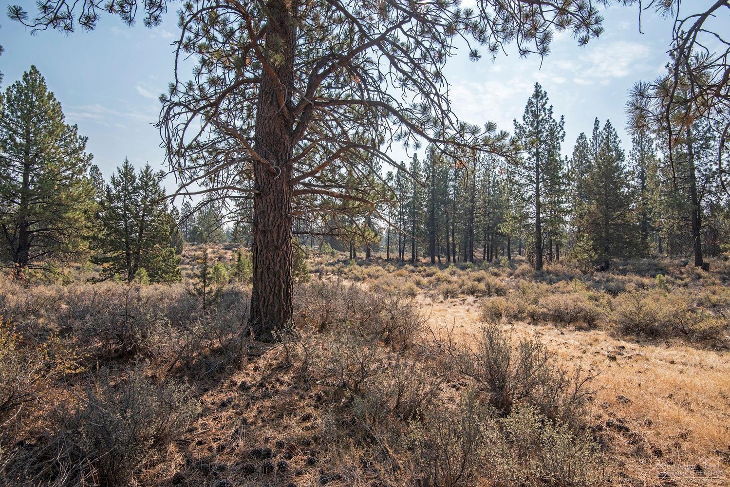 19770 Buck Canyon Road Bend, OR 97702 - Photo 22 of 23 Additional Photo