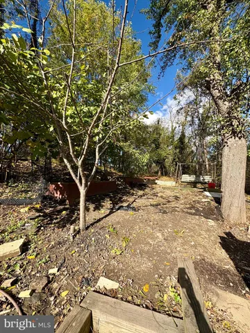 a view of yard with trees