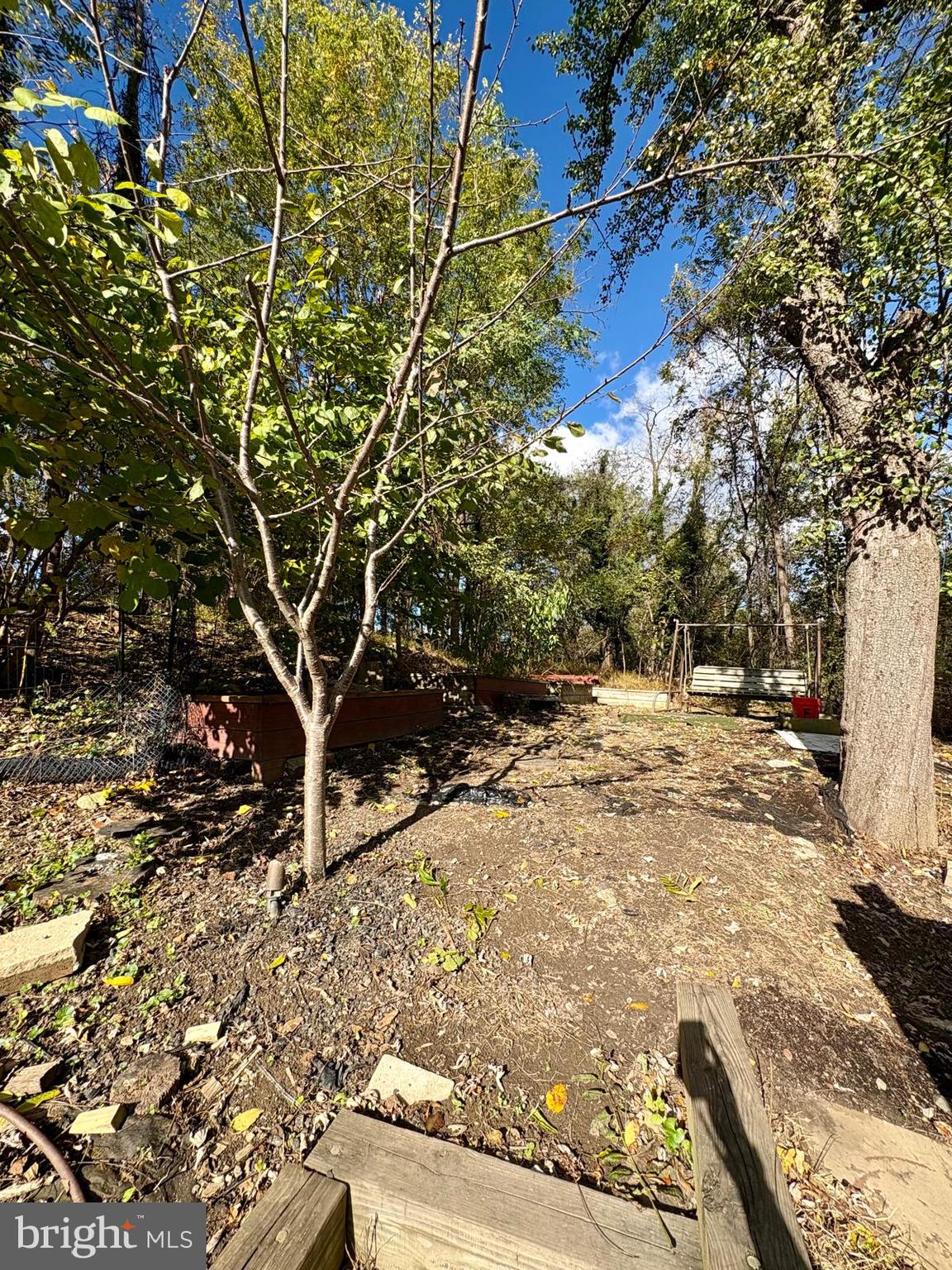 7714 Walnut Lane Mount Airy, MD 21771 - Photo 36 of 42 a view of yard with trees