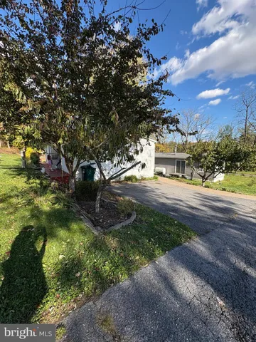 a view of a park with large trees