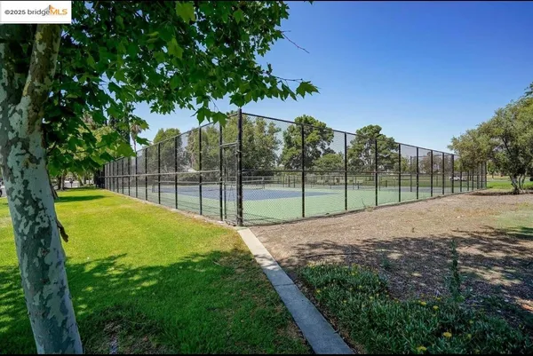 a view of a backyard with palm trees