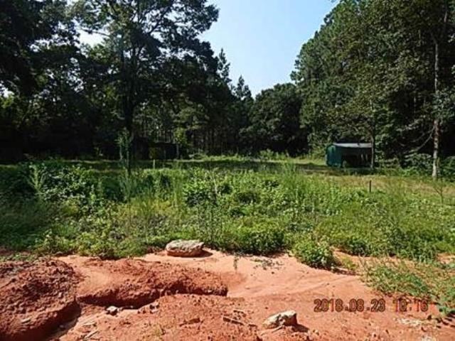 584 Dead Lake Road Creola, AL 36525 - Photo 12 of 13 Other