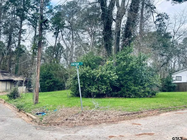 a view of a yard with a tree
