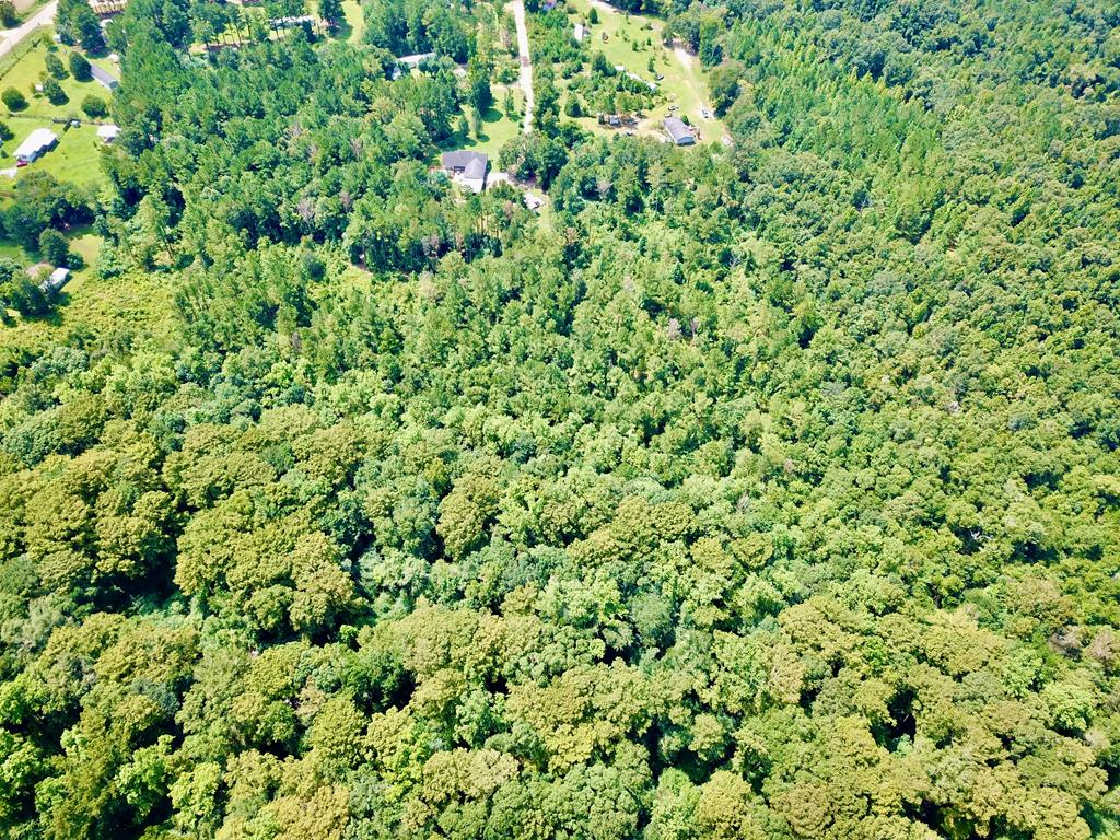 4739 Wallace Buie Road Columbia, AL 36319 - Photo 51 of 54
