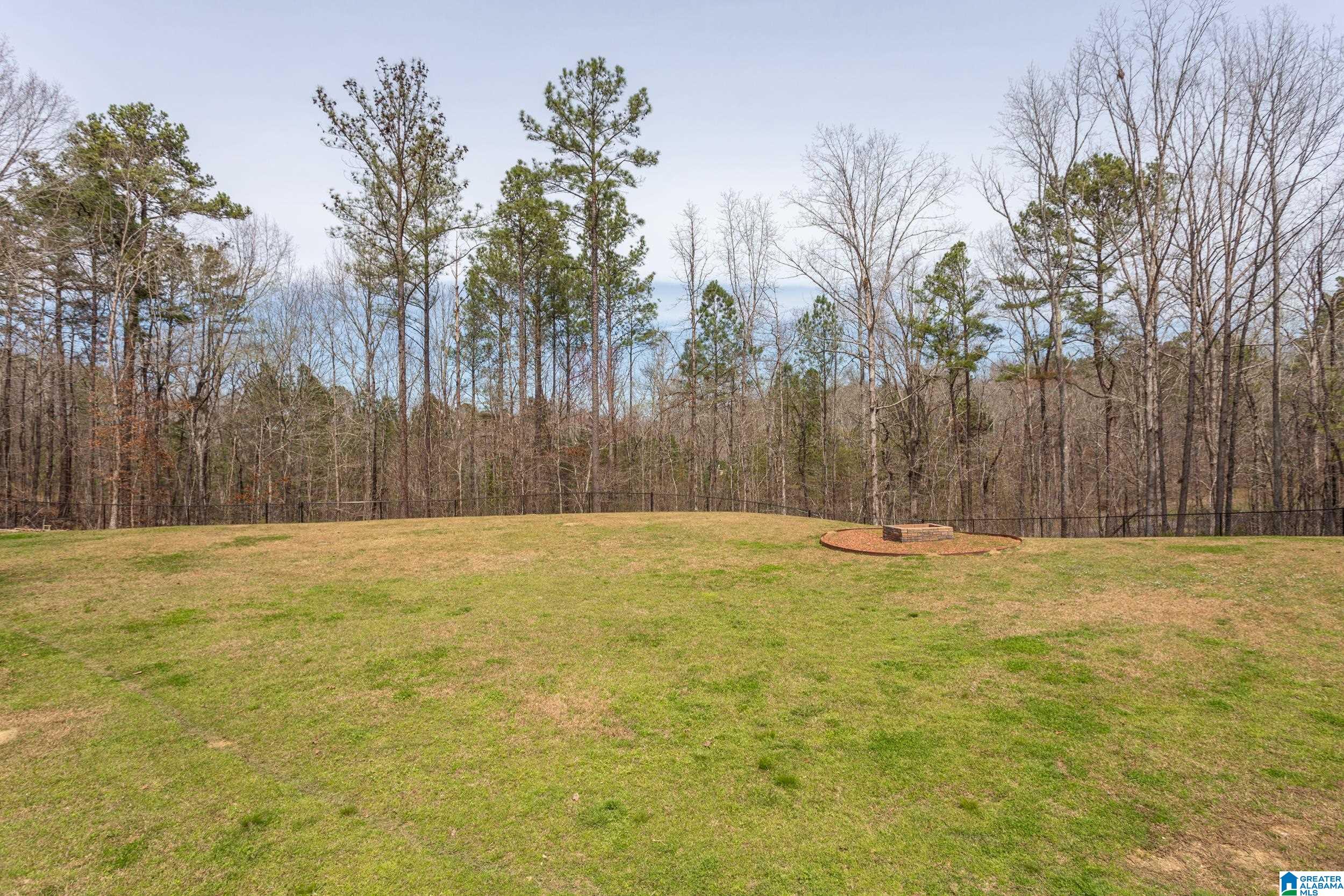 956 Blue Ridge Way Odenville, AL 35120 - Photo 44 of 62