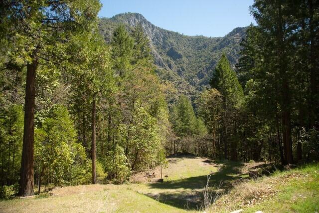 10041 Highway 299, Unit 299 Burnt Ranch, CA 95527 - Photo 37 of 44