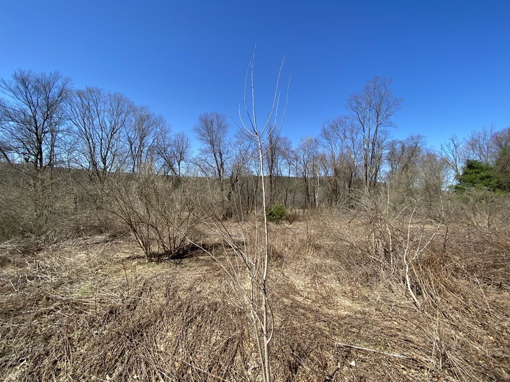 0 Washington Road Brimfield, MA 01010 - Photo 2 of 6 Gallery Image 2