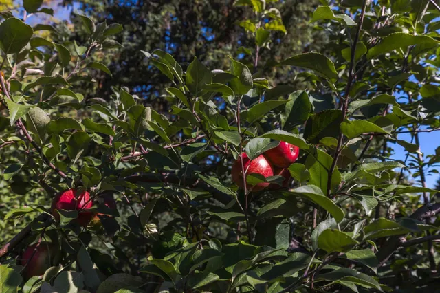 $299,900 | 87 28th Avenue North, Fargo, ND 58102