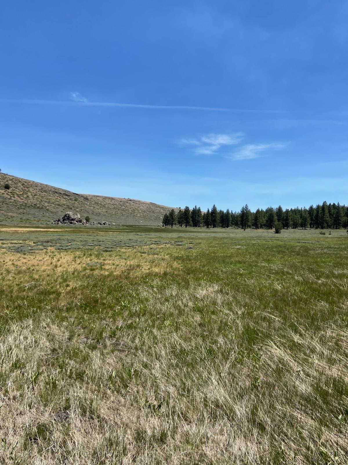 Xxxx Doyle Grade Road Doyle, CA 96109 - Photo 7 of 10