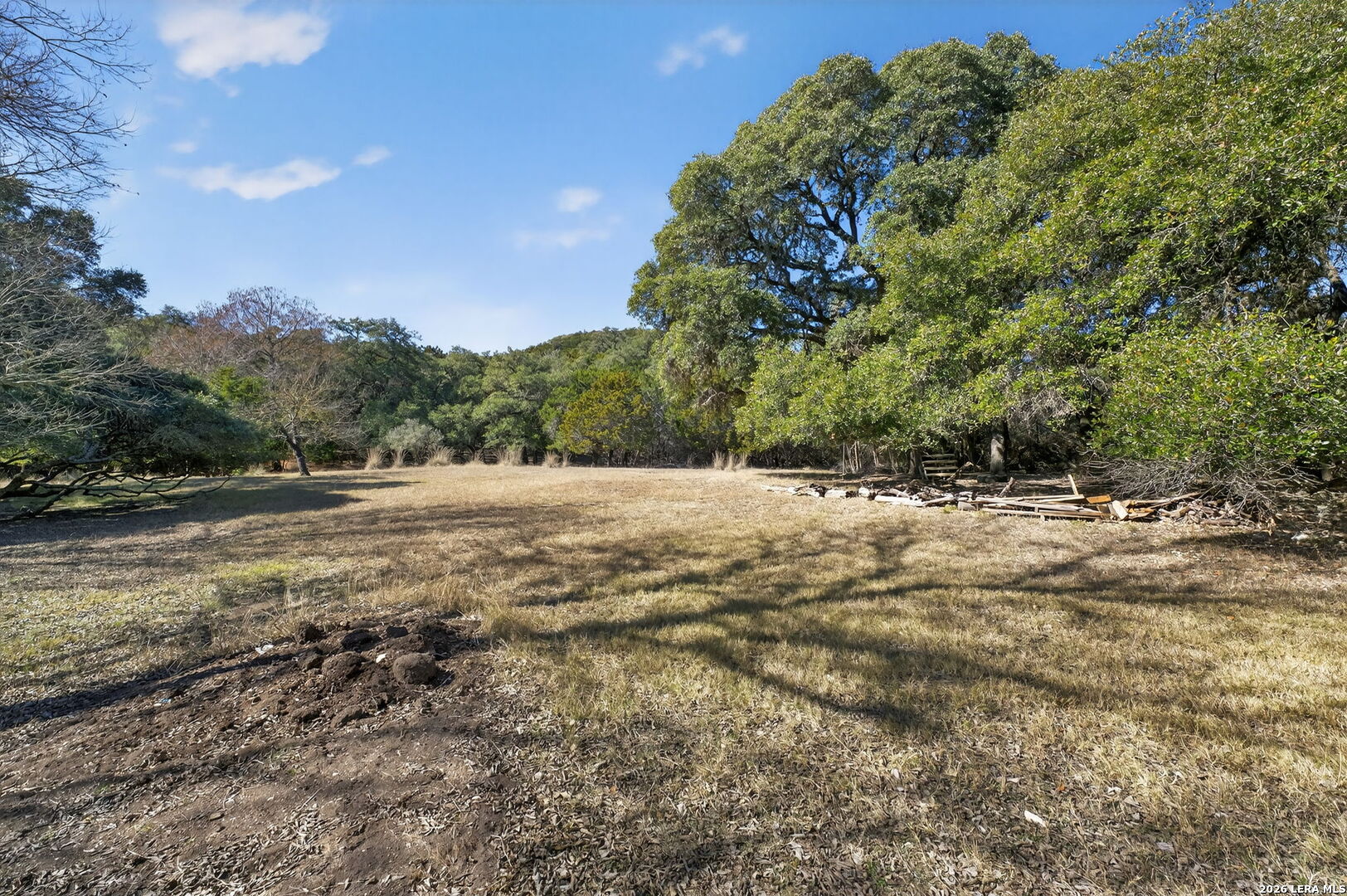 218 Whitworth Road Boerne, TX 78006 - Photo 6 of 26 a view of dirt field with trees