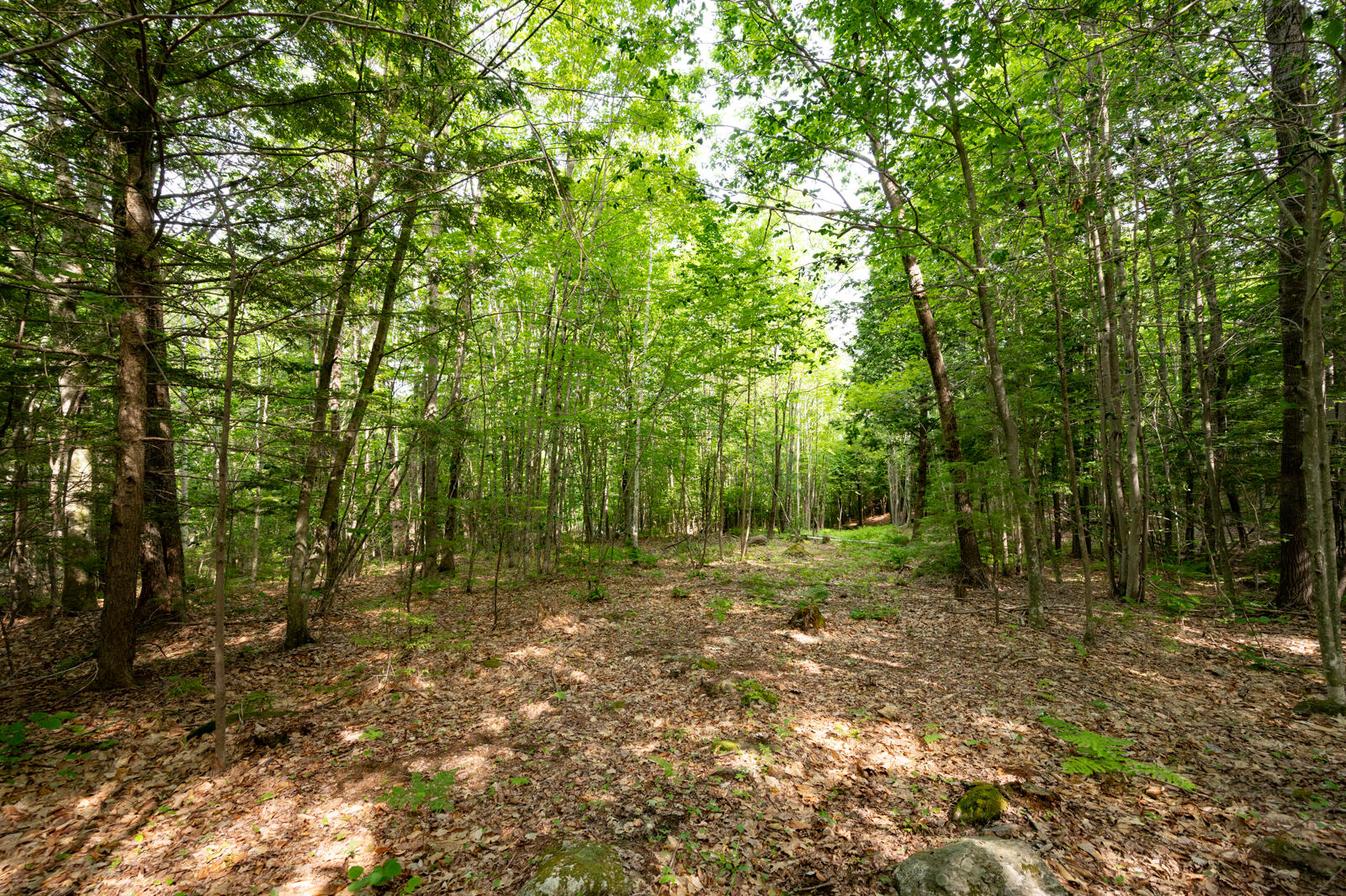 237-001 Hopper Road Acton, ME 04001 - Photo 13 of 19 DSC_2383