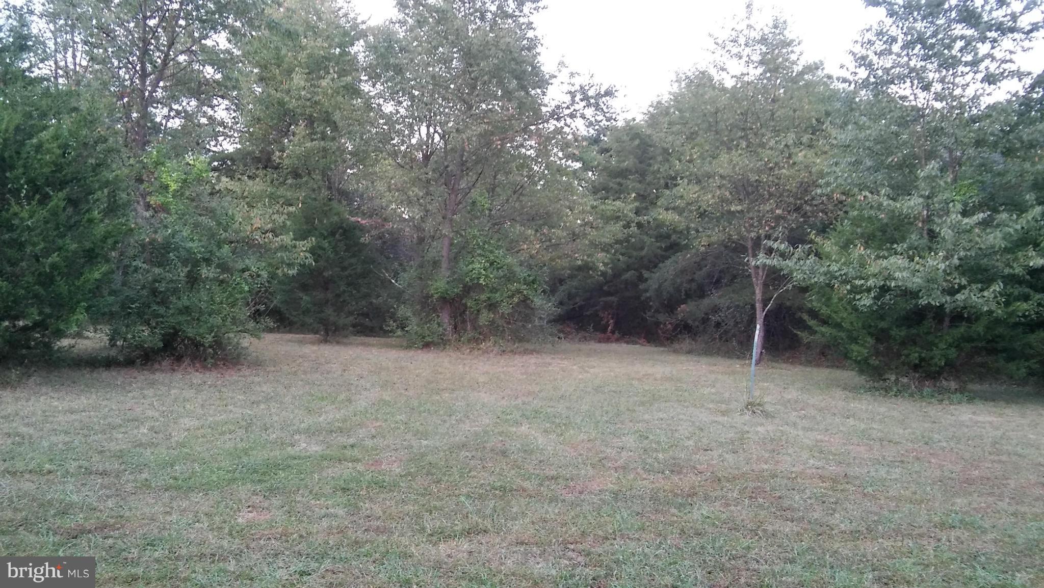 Morrisons Road Stephenson, VA 22656 - Photo 10 of 10 Exterior (General)