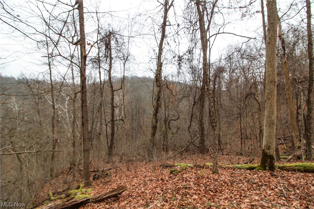 0 Mount Carmel Rdg Road St. Marys, WV 26170 - Photo 20 of 29 View of nature