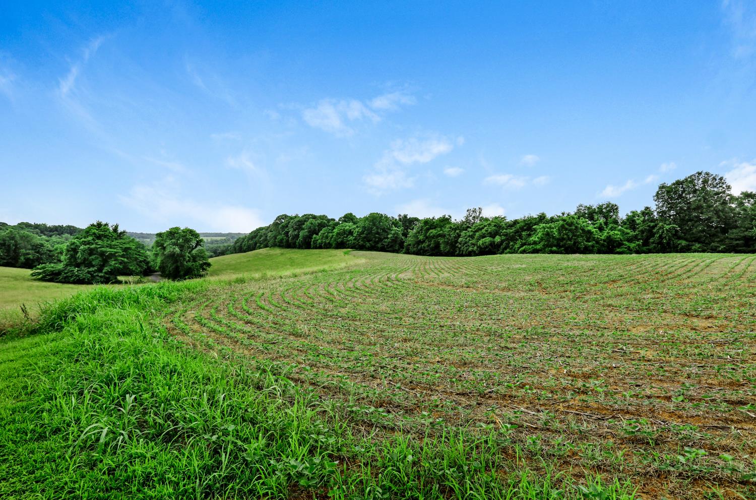 0 Kelly Creek Road Ardmore, TN 38449 - Photo 1 of 6