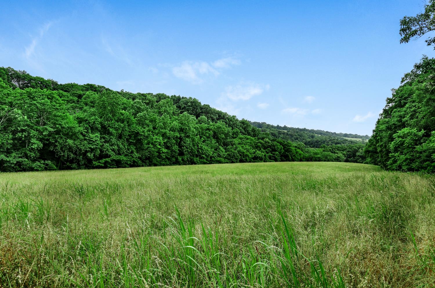 0 Kelly Creek Road Ardmore, TN 38449 - Photo 3 of 6
