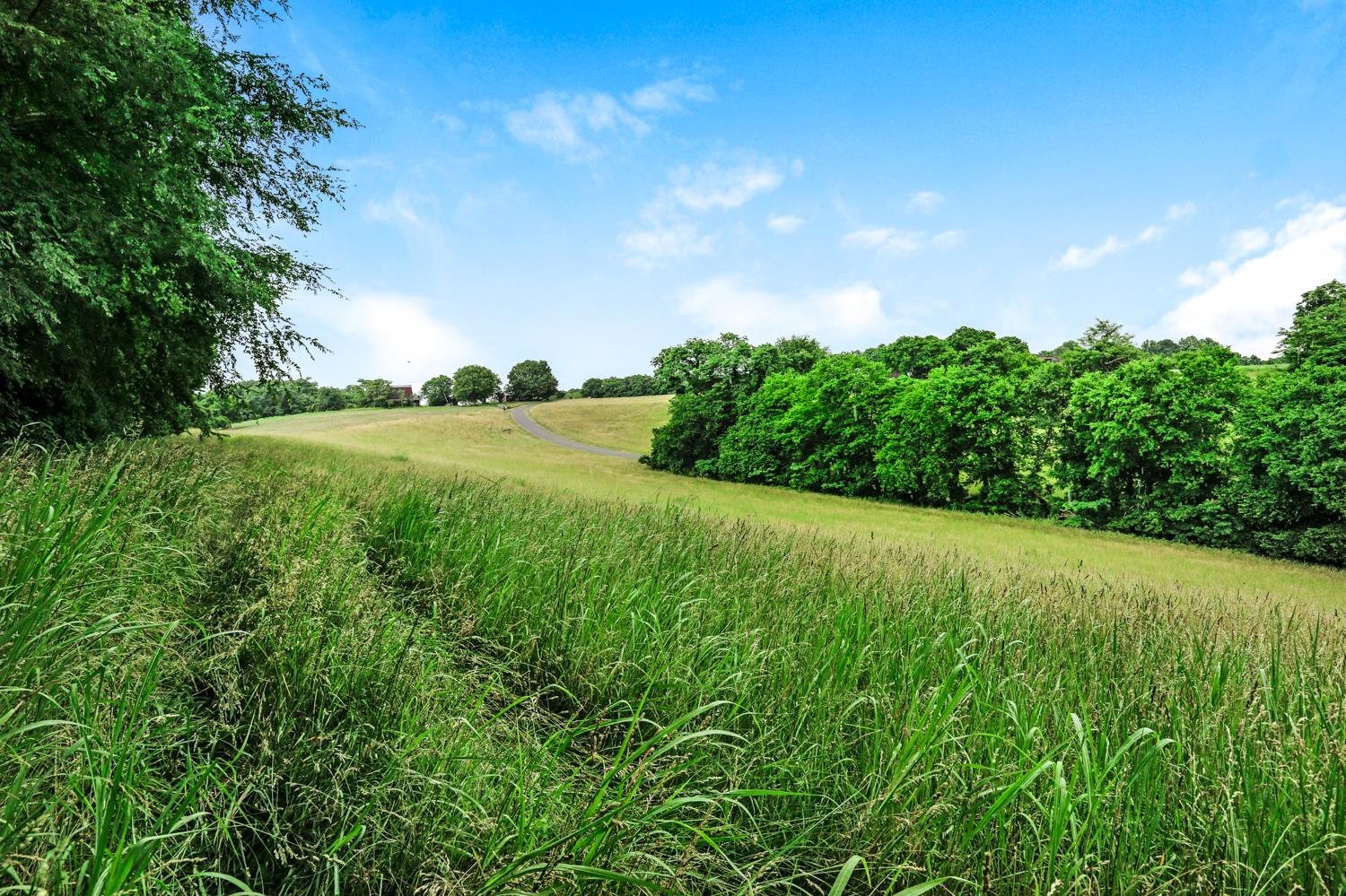 0 Kelly Creek Road Ardmore, TN 38449 - Photo 6 of 6