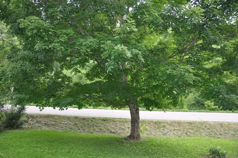 4276 Myers Road Carlisle, KY 40311 - Photo 13 of 31 Photo 13
