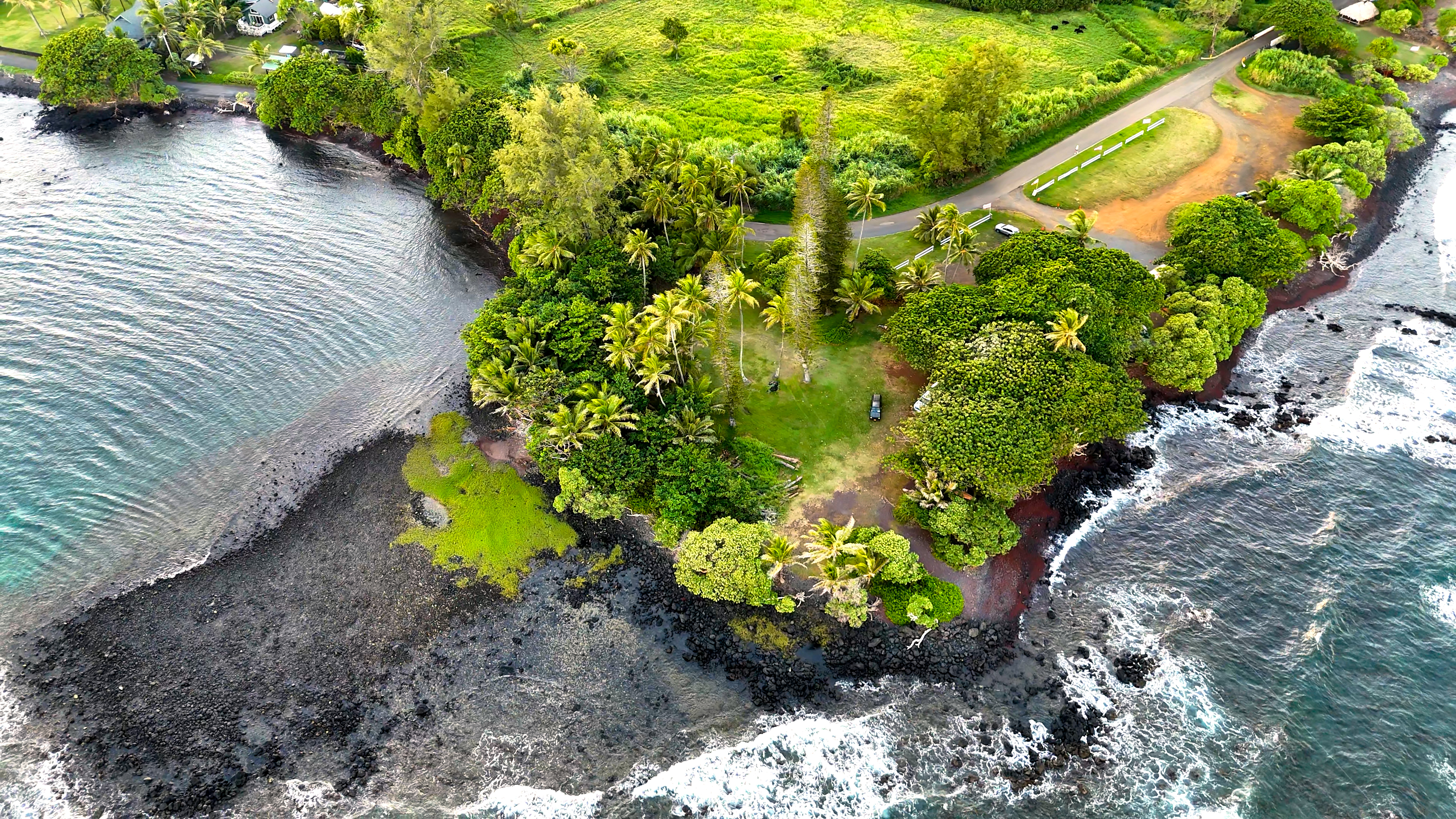 175 Haneoo Road Hana, HI 96713 - Photo 10 of 16