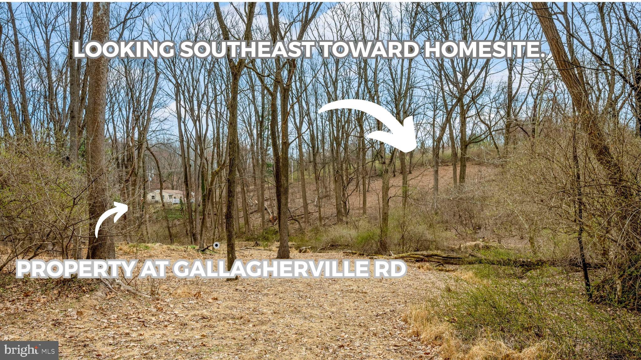 1418 Gallagherville Road Downingtown, PA 19335 - Photo 16 of 21 Looking South East toward proposed homesite