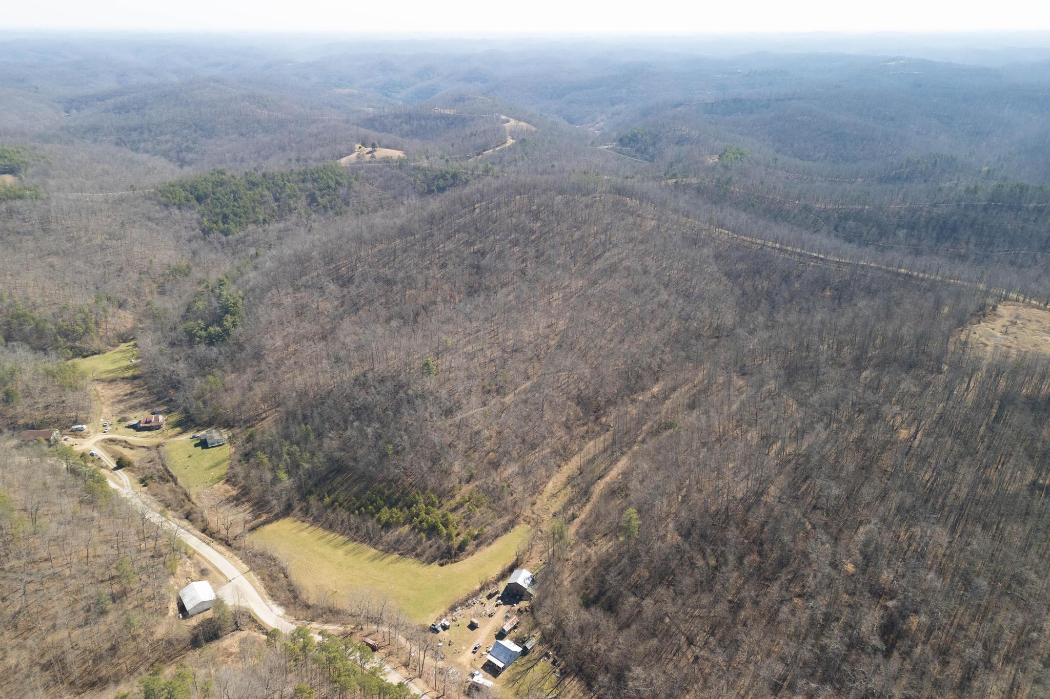 0 Peddler Gap Road West Liberty, KY 41472 - Photo 8 of 13 DJI_20260301004929_0024_D copy