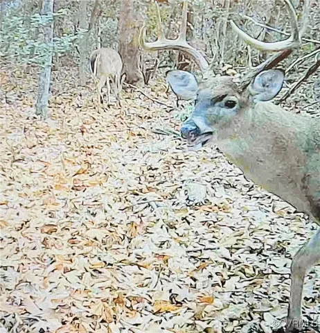 a close up of a lamp on a bed