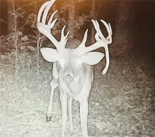 $139,900 | 0 Proffits Road, Louisa, VA 23093