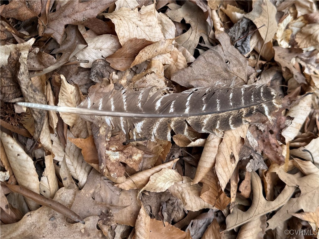0 Proffits Road Louisa, VA 23093 - Photo 15 of 15 a close up of a lamp on a bed