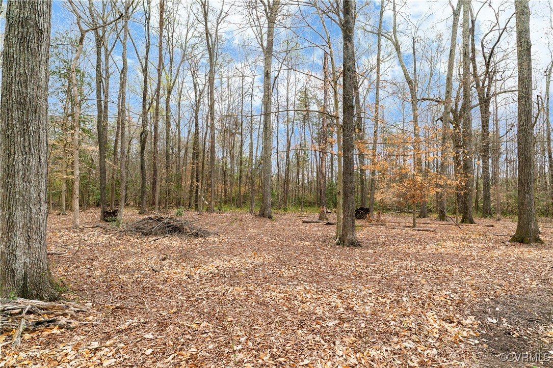 0 Proffits Road Louisa, VA 23093 - Photo 3 of 15 a backyard of a house with outdoor seating