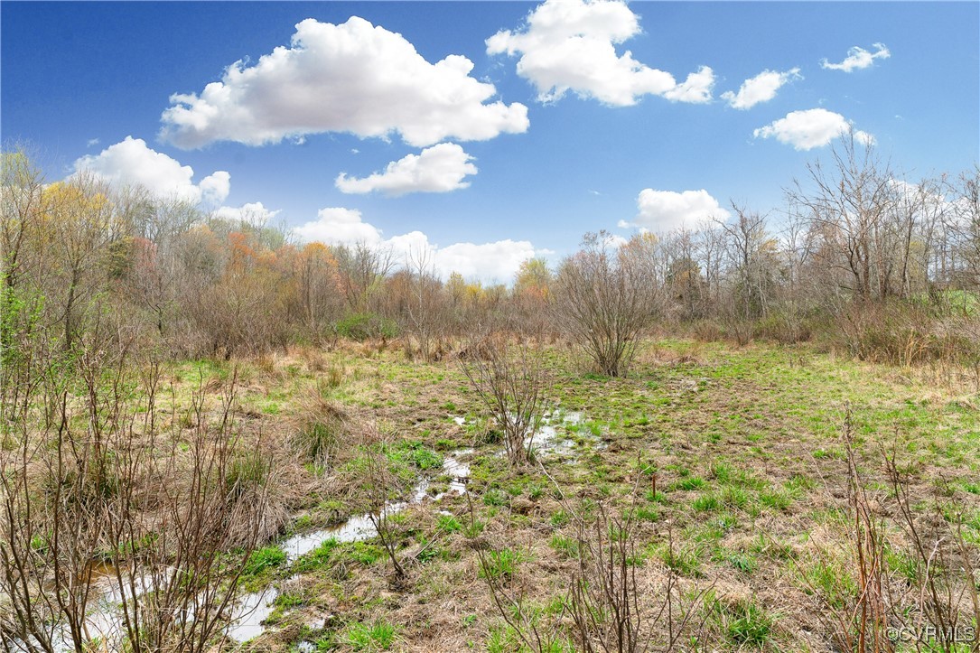 0 Proffits Road Louisa, VA 23093 - Photo 5 of 15 a view of a yard